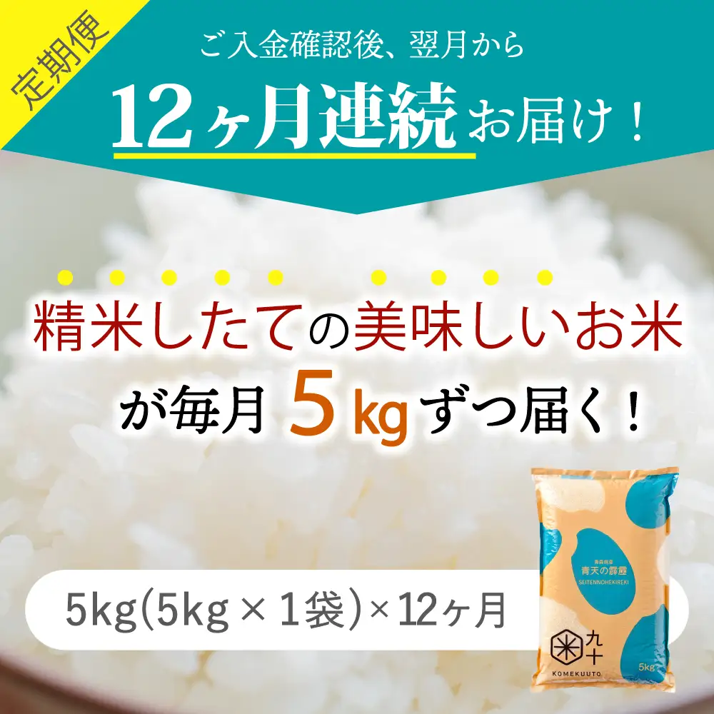 青天の霹靂 5kg【定期便12ヶ月】令和7年産米 精米 青森県産【特A】晴天の霹靂 五所川原市