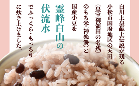 天田の赤飯パック 160ｇ×12個 ごはん 米 赤飯 008020