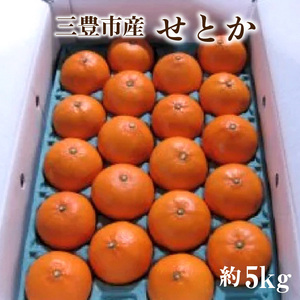 三豊市産せとか 約5kg