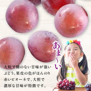 ロゼピオーネ 約2kg
