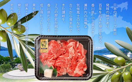 黒毛和牛オリーブ牛 切り落とし 約500g×2