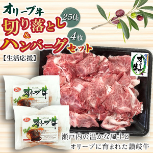 オリーブ牛切り落とし250g&ハンバーグ4枚セット