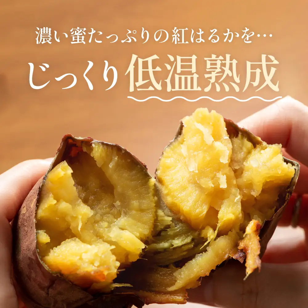 【美濃蜜芋 紅はるか～干し芋～】100g×4袋
