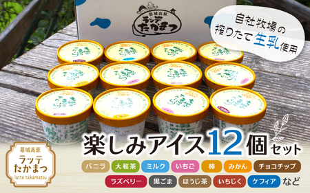 （冷凍） ラッテたかまつ 楽しみアイス１２個セット ／ バニラ 大和茶 ミルク 苺 ブルーベリー 黒ごま【latt005】