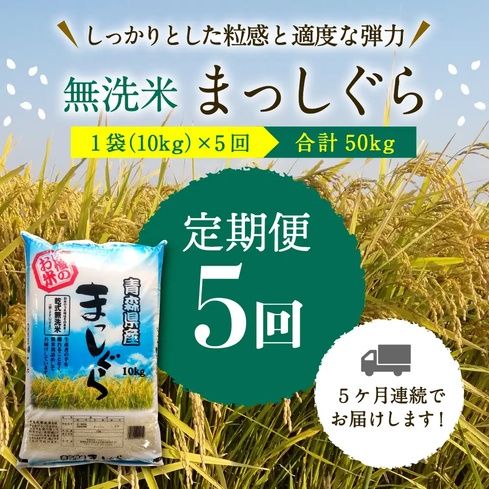 【定期便 5ヶ月】 無洗米 10㎏ 青森県産 まっしぐら （精米）
