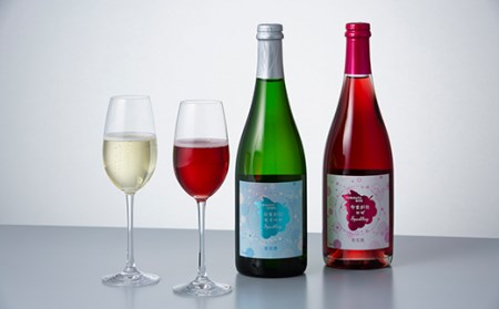 FYN9-740 月山山麓 スパークリングワイン飲み比べセット（セイベル・ロゼ）750ml×2 やや辛口 山形県 西川町