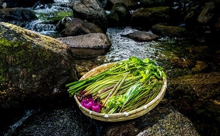 FYN9-230 野菜 わらび 塩蔵わらび 3kg 野菜