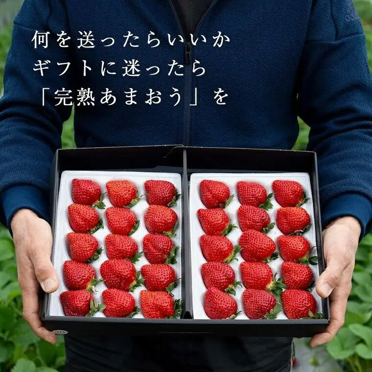 【2027年1～4月出荷分予約販売】たっぷり2倍の量武下さんちの「完熟あまおう」3Lサイズ 900g あまおう