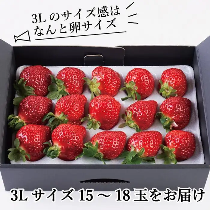【2027年1～4月出荷分予約販売】武下さんちの「完熟あまおう」3Lサイズ 450g 産直 あまおう