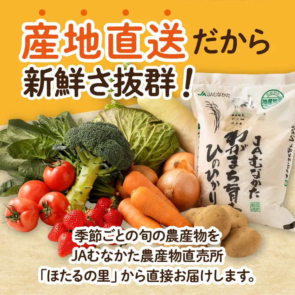 【9～11品】むなかた旬のお任せセット 野菜 フルーツ お米 _HA0263 | 詰め合わせ