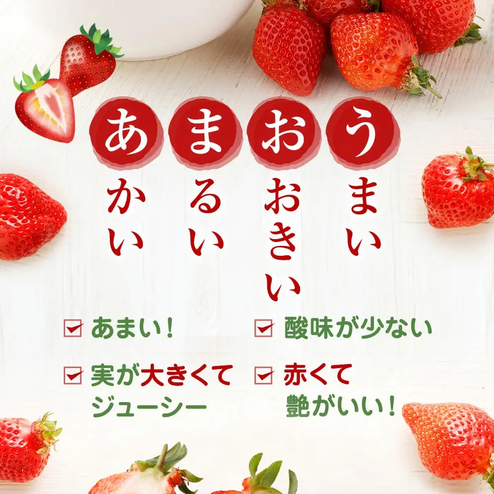 【先行予約】【アフター保証】 大粒セレクト！大人気のあまおう 約250g×2パック【2月中旬～3月発送】【JAほたるの里】_HA0277