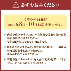 【寄附額改定!】プレミアムいちじく とよみつひめ　1.2kg【JAほたるの里】_HA0278 | いちじく 果物 