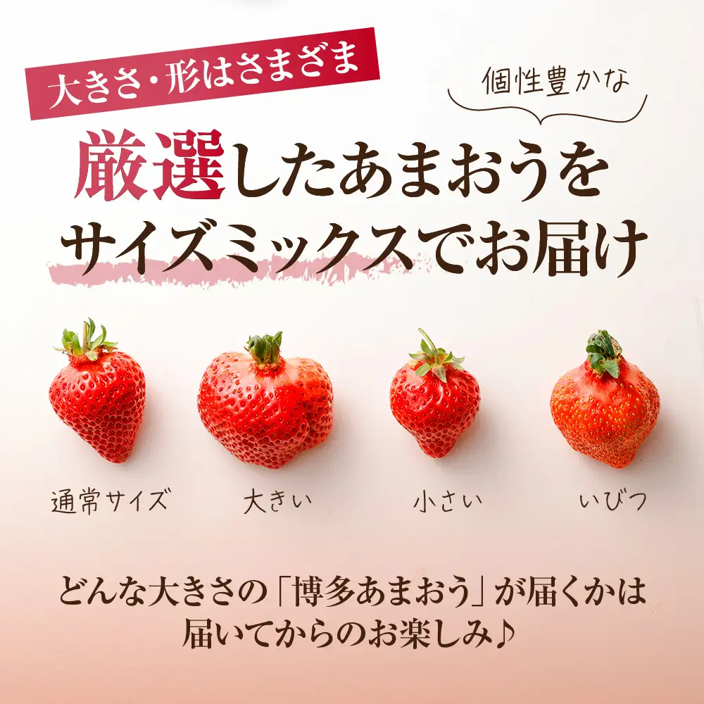 【先行予約】【アフター保証】どこよりも早くお届け！12月発送「博多あまおう」約250g×4パック【ほたるの里】_HA0502
