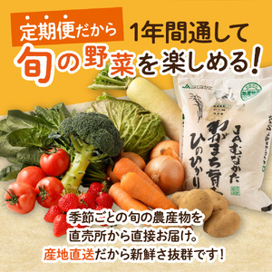 【定期便／年12回／毎月お届け】むなかた旬のお任せセット 野菜 フルーツ お米 9～11品 _HB0029 | お野菜 果物
