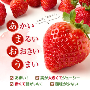 【定期便／3ヶ月連続お届け】大人気のあまおう 250g×4パック 計3回 総量3.0kg 3ヶ月定期便 福岡県産いちご【JAほたるの里】_HB0032