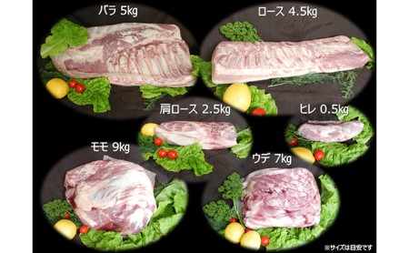 福井県大野市 新ブランド “奇跡の豚” 荒島ポーク 1/2頭まるごとセット 27～34kg ブロック [O-048001]