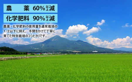 【先行予約】【令和7年産 新米】減農薬・減化学肥料の特別栽培コシヒカリ 玄米 5kg 農家直送 福井県大野市産 [A-004004]