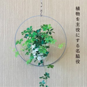GRAVIRoN Hang Plants シリーズ Round 酸洗鉄（プランツハンガー） 観葉植物 プランター