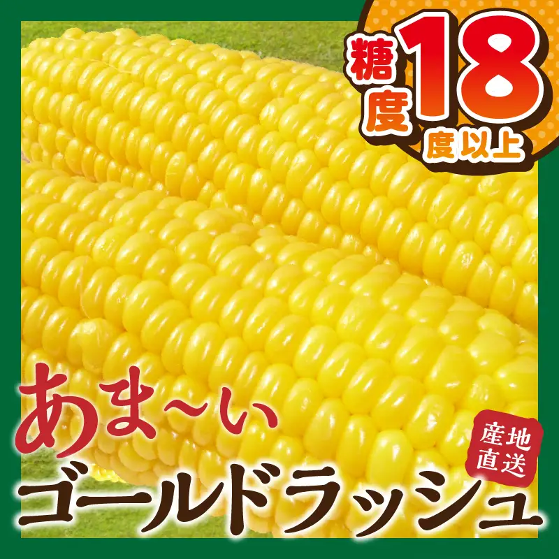 富士北麓忍野村の気候、水、自然で作られた朝採りトウモロコシ（ゴールドラッシュ）（約5kg）