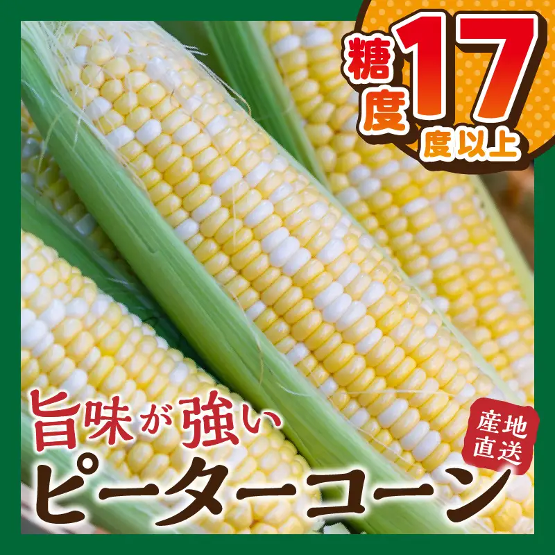 富士北麓忍野村の気候、水、自然で作られた朝採りトウモロコシ（ピーターコーン）（約5kg）