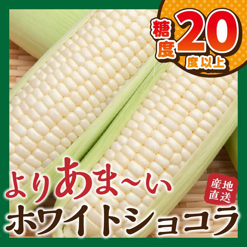 富士北麓忍野村の気候、水、自然で作られた朝採りトウモロコシ（ホワイトショコラ）（約5kg）