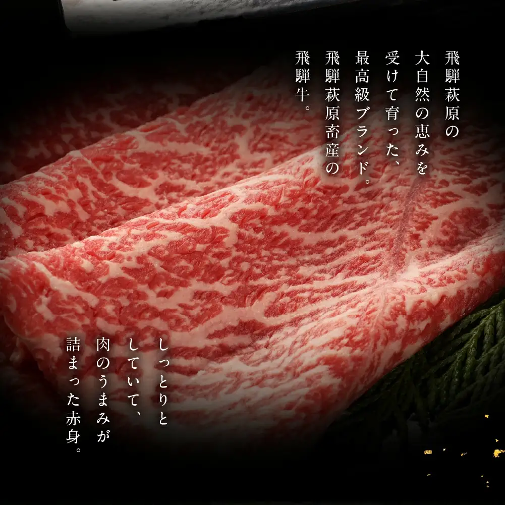 飛騨牛ももすき焼  300g  【22-4】