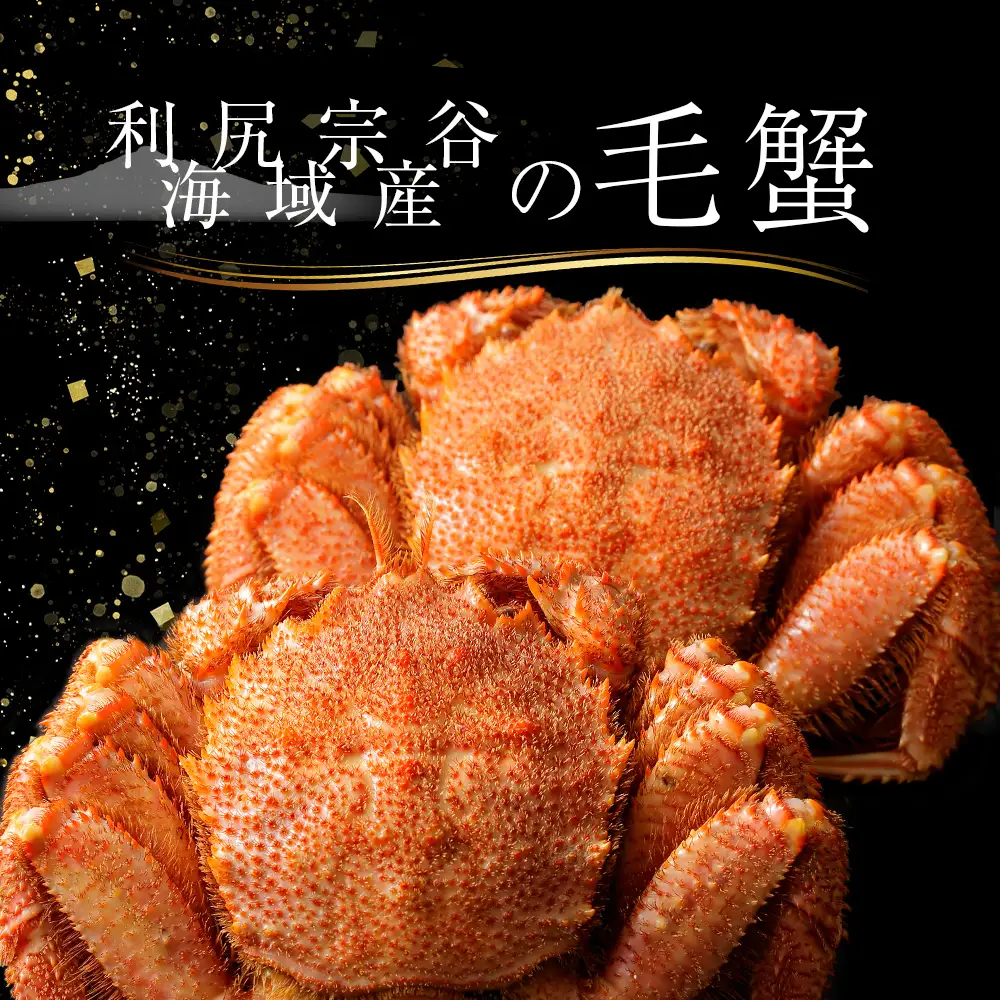 利尻・宗谷産 毛ガニ 特大サイズ（850g前後）１尾＜利尻漁業協同組合＞