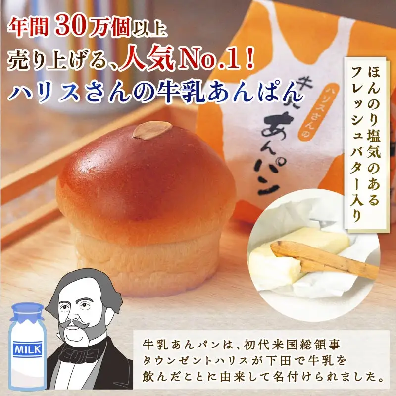 【平井製菓】下田あんぱん詰合せ10個入り あんぱん