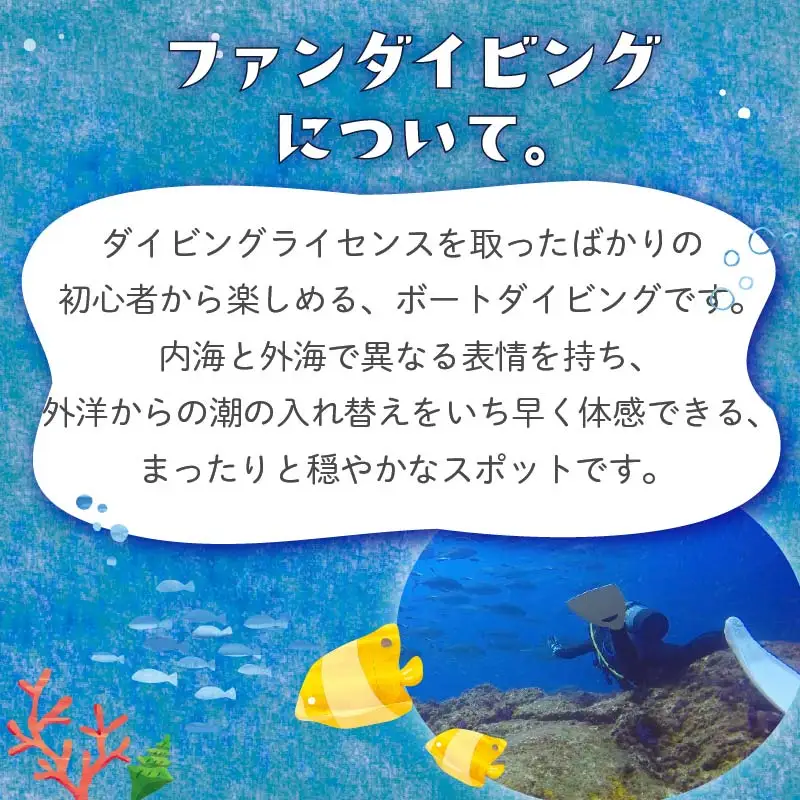 体験 チケット ダイビング ファン ダイビング