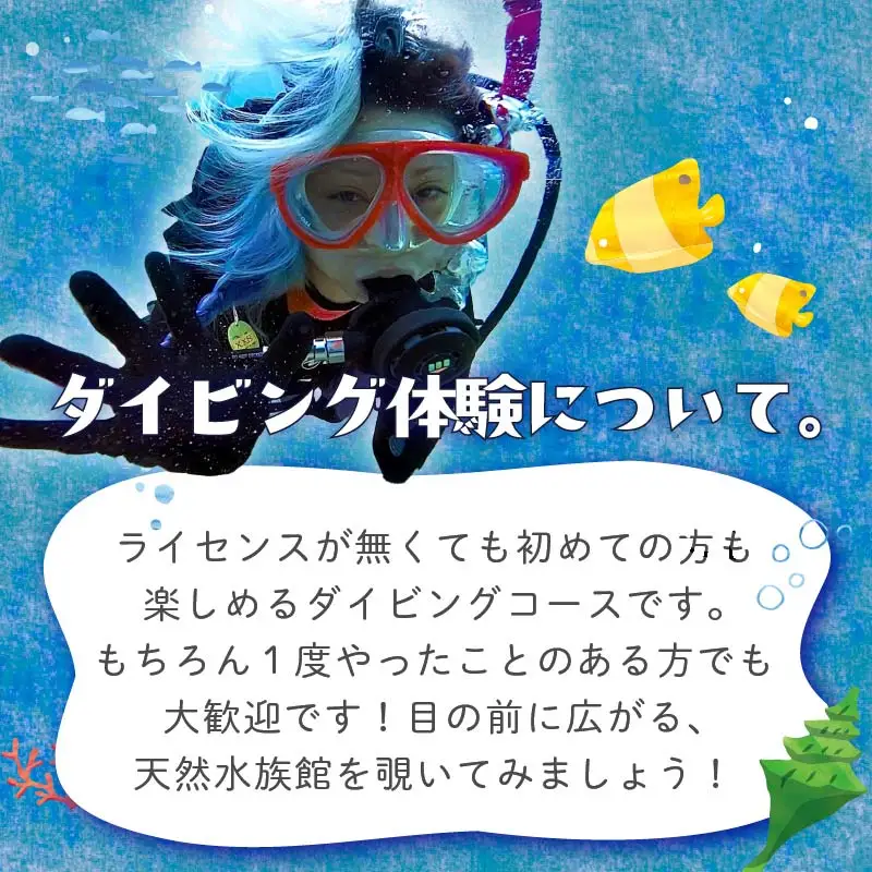 体験 チケット 体験ダイビング 2回 ダイビング 