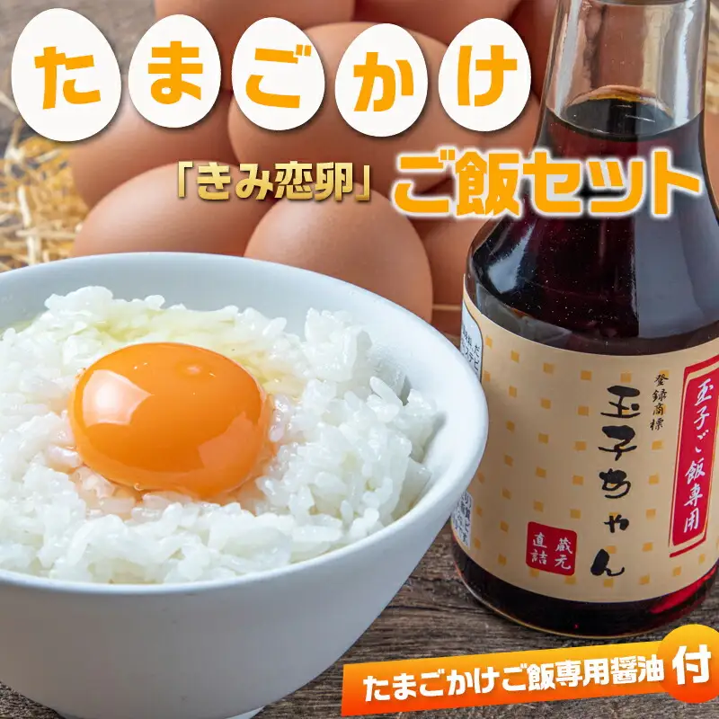「きみ恋卵」たまごかけご飯セット〔12-29-001〕_(都城市) きみ恋卵 Ｍサイズ 醤油 たまごかけご飯専用醤油「玉子ちゃん」 甘口 卵かけご飯 朝ごはん 朝食