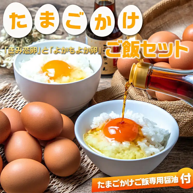 「きみ恋卵」と「よかもよか卵」のたまごかけご飯セット〔12-29-002〕_(都城市) きみ恋卵 よかもよか卵 Ｍサイズ たまごかけご飯専用醤油「玉子ちゃん」 甘口 卵かけご飯 朝ごはん 朝食
