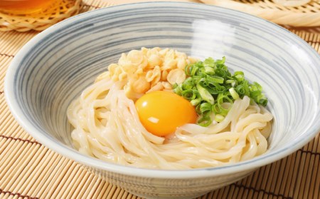 養生麺セット12個入り_K10_0003_3