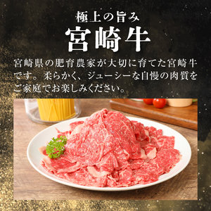＜宮崎牛　和牛　切り落とし1kg＞ K01_0011_1