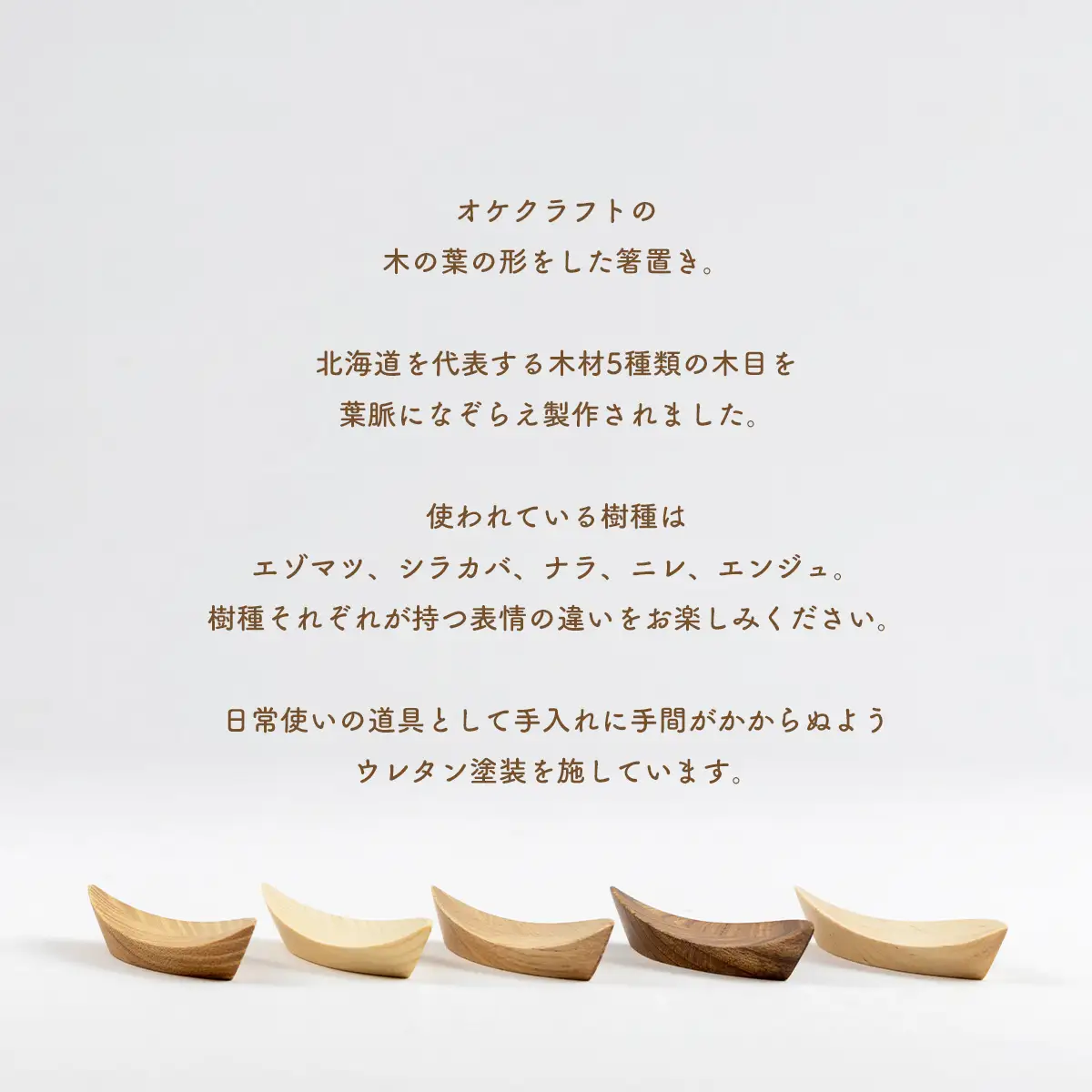 木の葉の箸置き 5樹種のセット（材質：エゾマツ、シラカバ、エンジュ、ナラ、ニレ各1個 計5個） OTA005