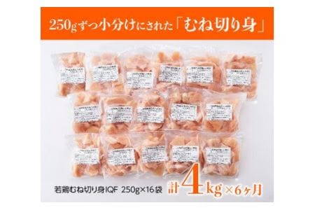 鶏肉 【６ヶ月定期便】宮崎県産鶏肉むね肉切身4kg 小分け