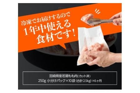 【定期便】宮崎県産 鶏肉 もも肉 切身 2.5kg(250g×10袋) 6ヶ月定期便