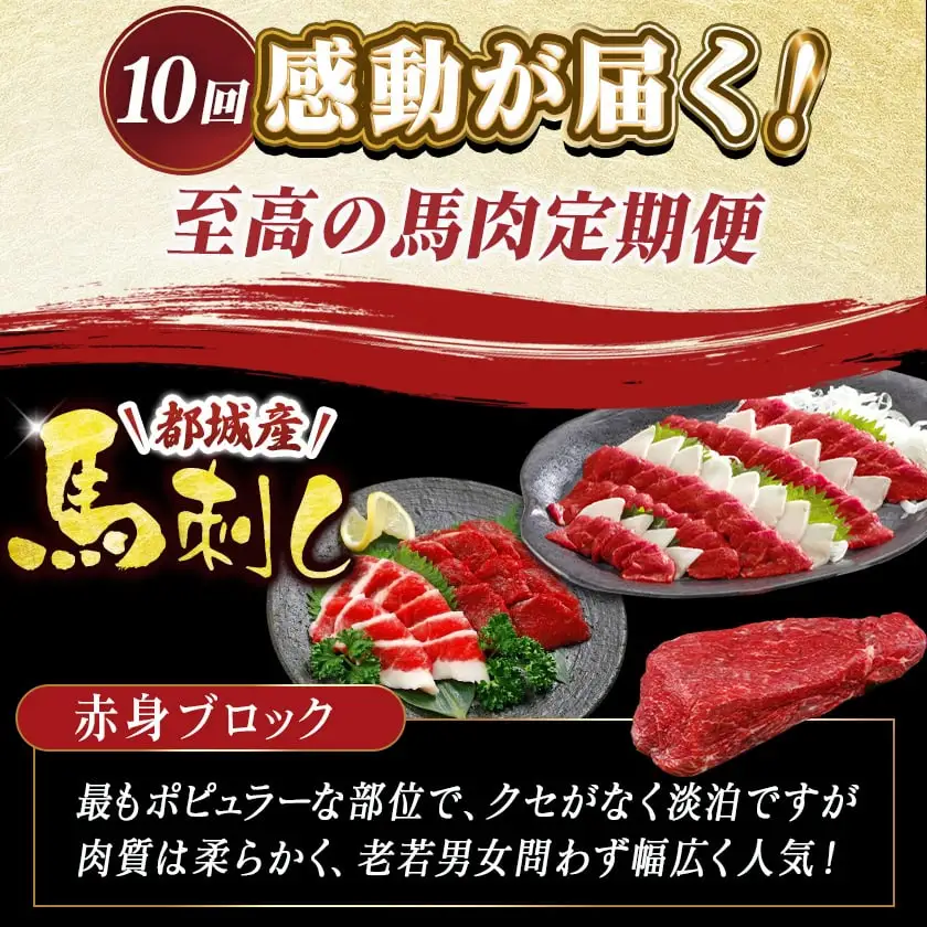 都城産馬!馬!馬尽くし定期便(10ヵ月)〔T80(10)-0101〕_(都城市) 定期便 馬刺しブロック ( ロース 赤身 タテガミ フタエゴ )  馬ハンバーグ 馬生ハム 馬すじ煮込み 10ヵ月定期便