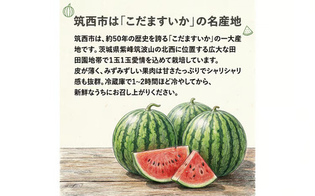 【2027年先行受付】【 JA北つくば 】 こだますいか 「 スウィートキッズ 」 4～5玉