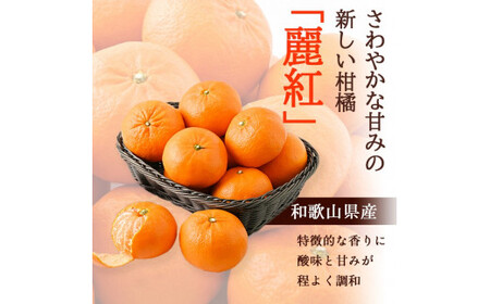 麗紅 れいこう 4kg / オレンジ 甘い 和歌山 有田 柑橘 ※2027年2月中旬〜3月下旬に順次発送 【krw012-r-4】