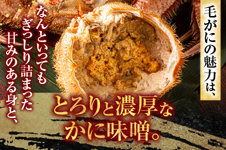 毛がに600g×1尾 B-54008