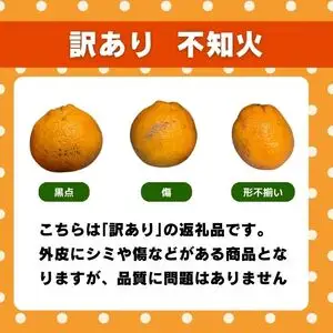 【先行予約】 訳あり 不知火 5kg  しらぬい かんきつ 柑橘 みかん 蜜柑 でこぽん おやつ きず 傷 ふぞろい 不揃いフルーツ 果物 くだもの 果実 愛媛県 愛南町 みかん職人武田屋