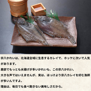 【数量限定】宗八かれいの一夜干し 4枚入 冷凍 カレイ 北海道 カレイ かれい 一夜干し 干物
