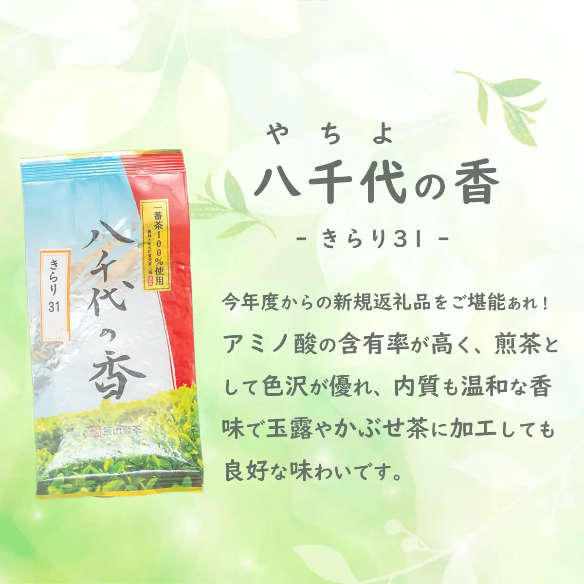 ＜ お歳暮 熨斗付き ＞お茶 好き必見！飲みくらべ セット 八千代の香 きらり31 緑茶 500g おちゃ 茶 茶葉 飯山製茶 一番茶葉  5種類 [AE022ya]