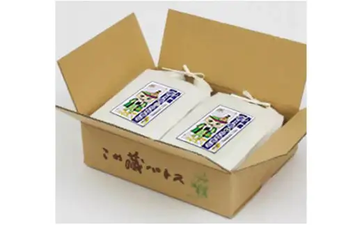 【令和7年産】西尾のお米10kg(こしひかり5kg×2)・K195-26