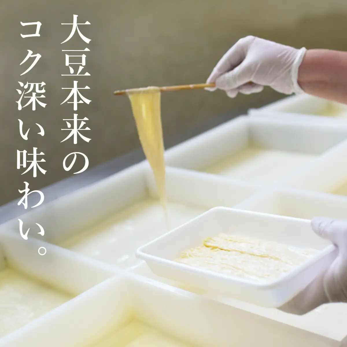 ゆば 大黒屋謹製生ゆばセットD / 