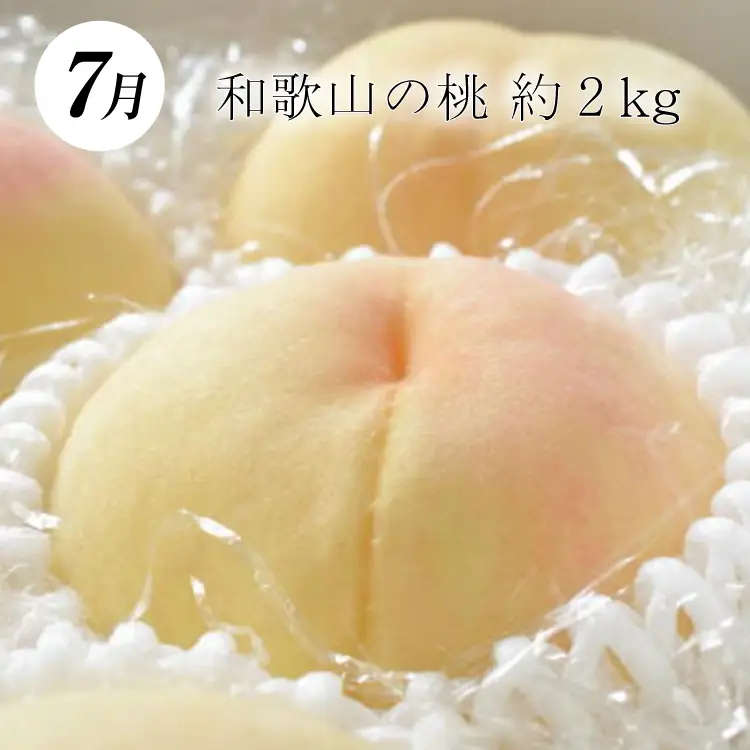 【3か月定期便】和歌山産フルーツ定期便！人気の桃・梨・ピオーネ　旬のフルーツを毎月お届け♪ / 果物 フルーツ 桃 梨 ピオーネ 定期便【tkb114】