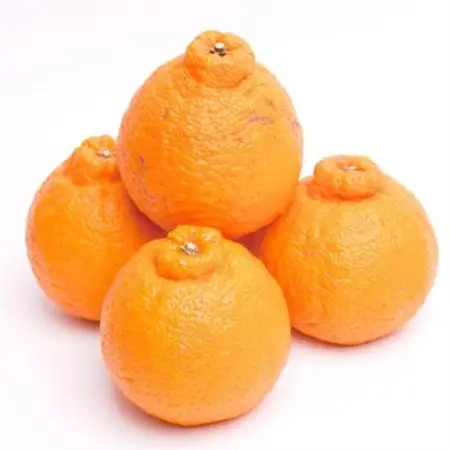 厳選 不知火2.5kg+250g(傷み補償分)【デコポンと同品種・人気の春みかん】【配送不可地域：離島・北海道・沖縄県】【1322237】