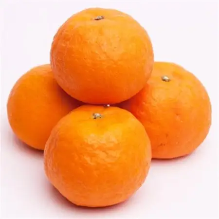 厳選 カラマンダリン2.5kg+250g(傷み補償分)【南津海・なつみ】【希少な春柑橘】【配送不可地域：離島・北海道・沖縄県】【1356079】