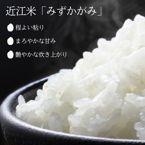 【10kg】【令和7年産】近江米みずかがみ 無洗米 特A受賞歴 近江米みずかがみ
